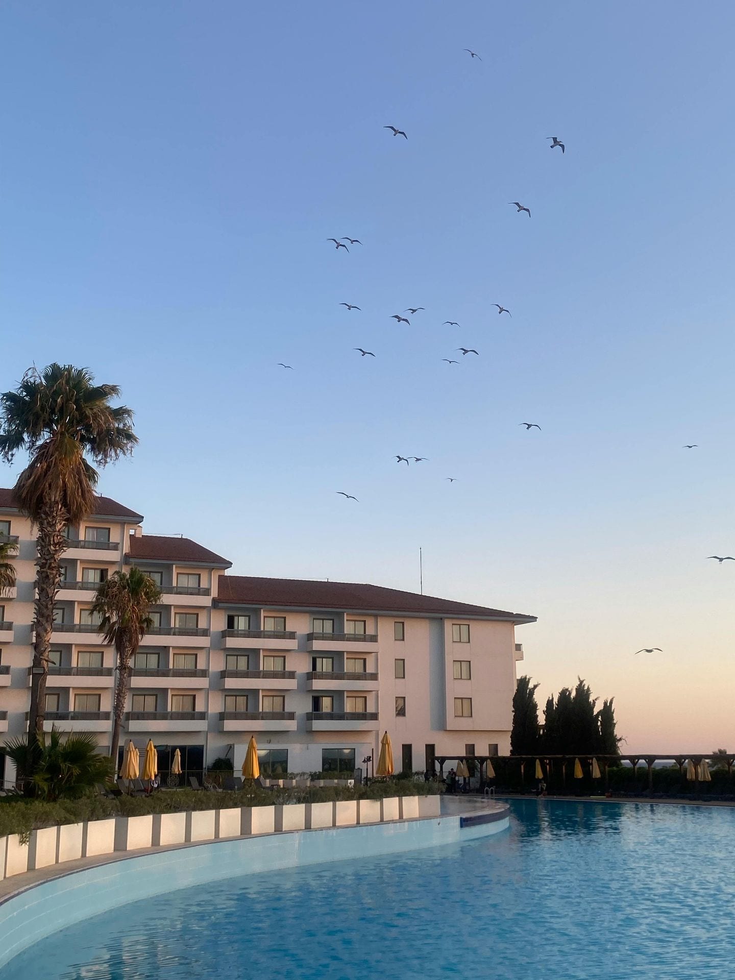 Hotel ao pôr-do-sol com piscina e gaivotas em voo — Algarve