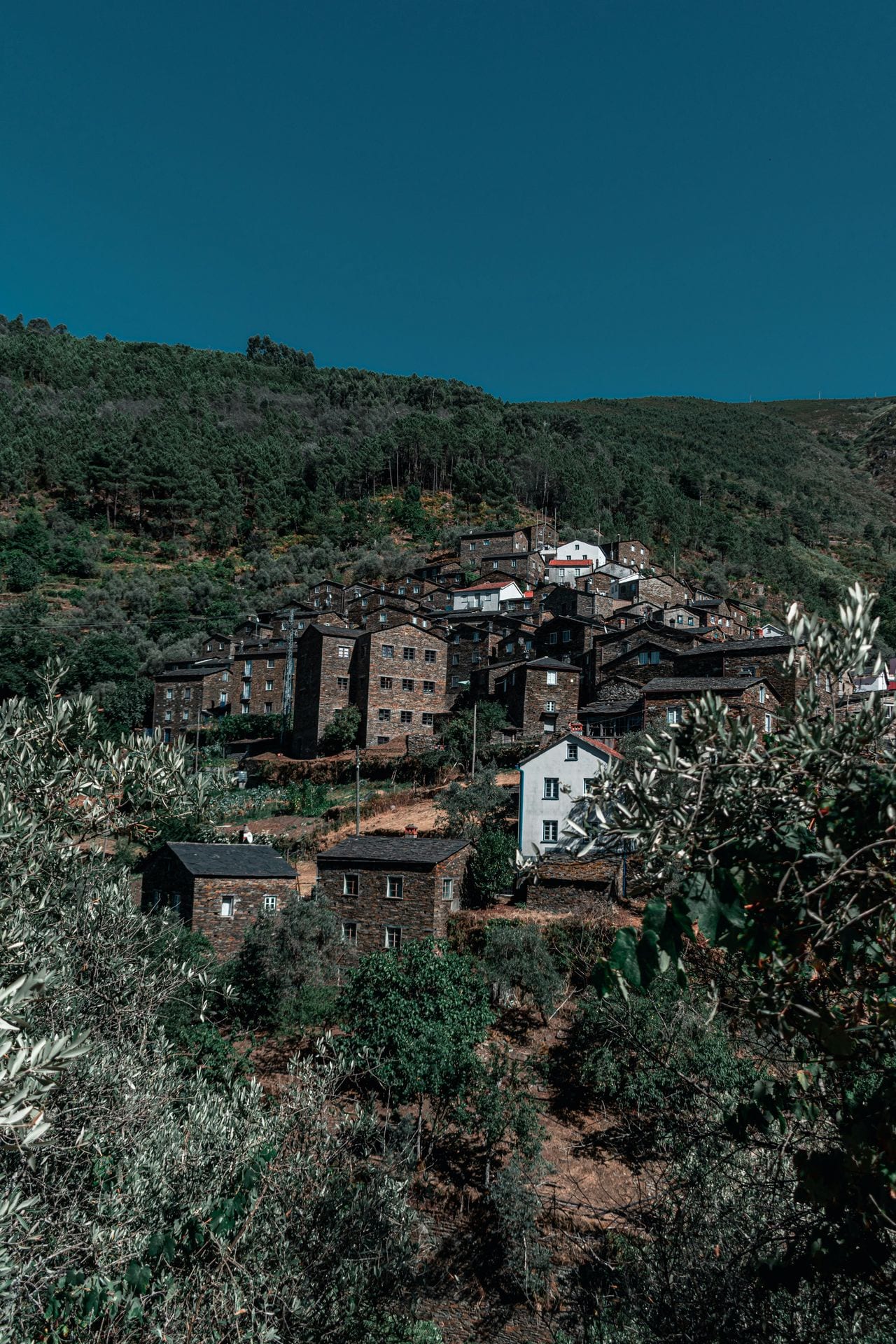 Aldeia tradicional de xisto em encosta verde — Norte e Douro